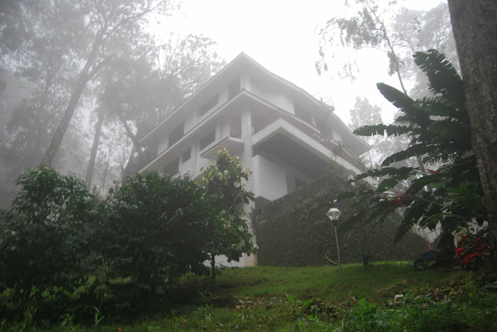 T Cherry Villa Munnar Exterior photo